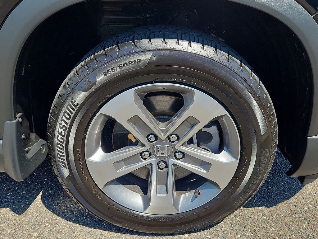 2024 Honda Pilot EX-L 8 Passenger