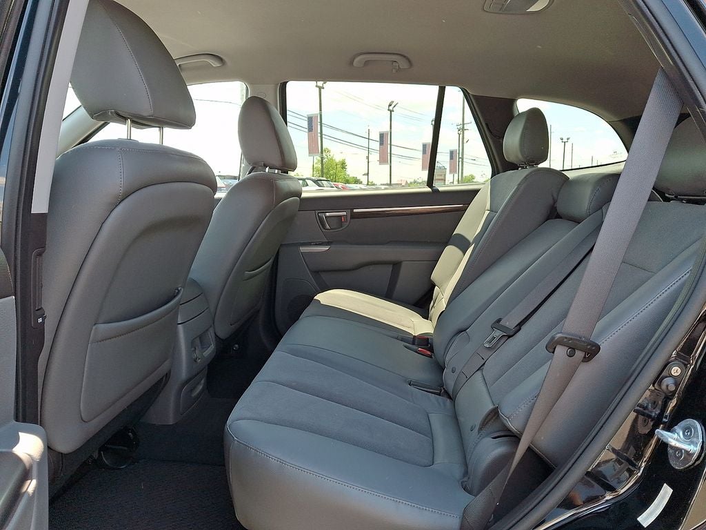 2010 Hyundai SANTA FE SE