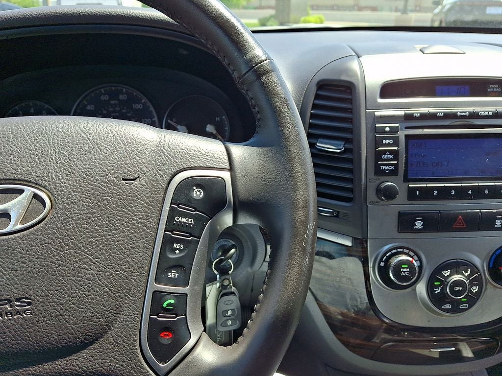 2010 Hyundai SANTA FE SE